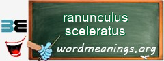 WordMeaning blackboard for ranunculus sceleratus